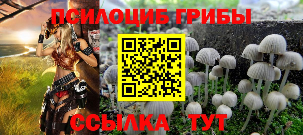 Галлюциногенные грибы мухоморы Орёл